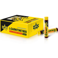 L-CARNITINE (24x25мл)