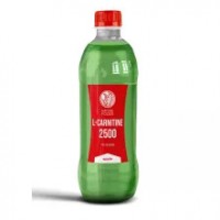 L-Carnitine 2500 (500мл)